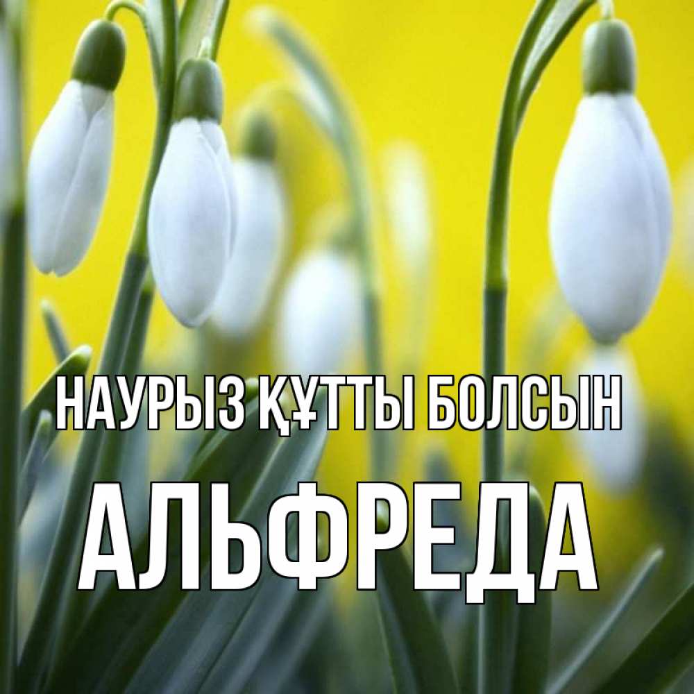 Открытка на каждый день с именем, Альфреда Наурыз құтты болсын весенние цветы Прикольная открытка с пожеланием онлайн скачать бесплатно 