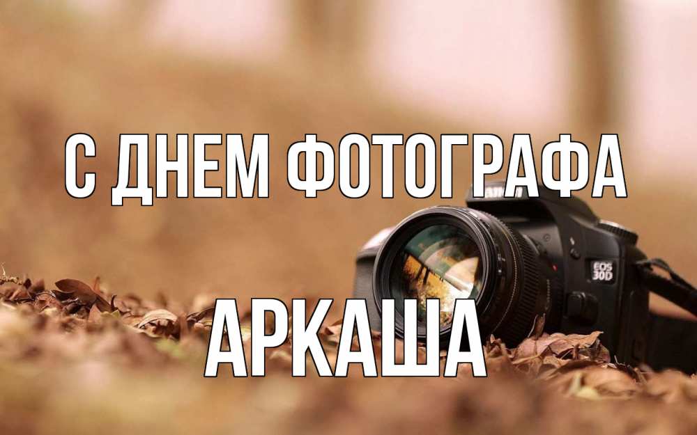 Открытка на каждый день с именем, Аркаша С днем фотографа с днем фотографа Прикольная открытка с пожеланием онлайн скачать бесплатно 