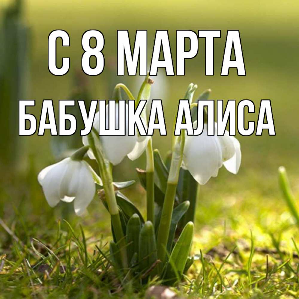 Открытка на каждый день с именем, Бабушка-Алиса С 8 МАРТА ранние цветы 2 Прикольная открытка с пожеланием онлайн скачать бесплатно 