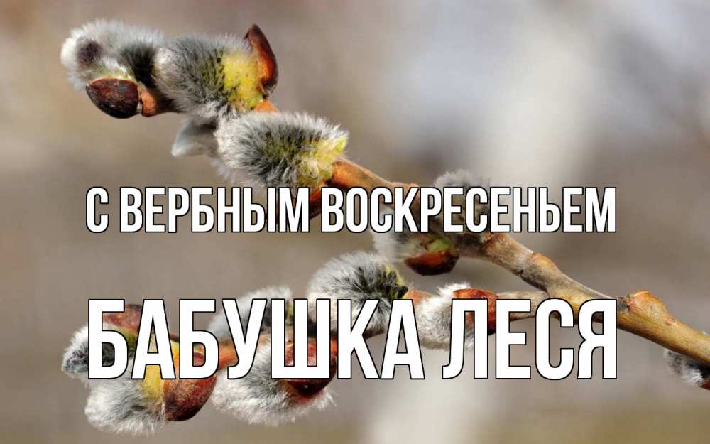 Открытка на каждый день с именем, Бабушка-Леся С вербным воскресеньем Верба Прикольная открытка с пожеланием онлайн скачать бесплатно 