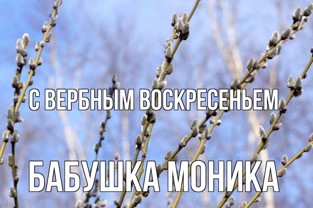Открытка на каждый день с именем, Бабушка-Моника С вербным воскресеньем верба Прикольная открытка с пожеланием онлайн скачать бесплатно 