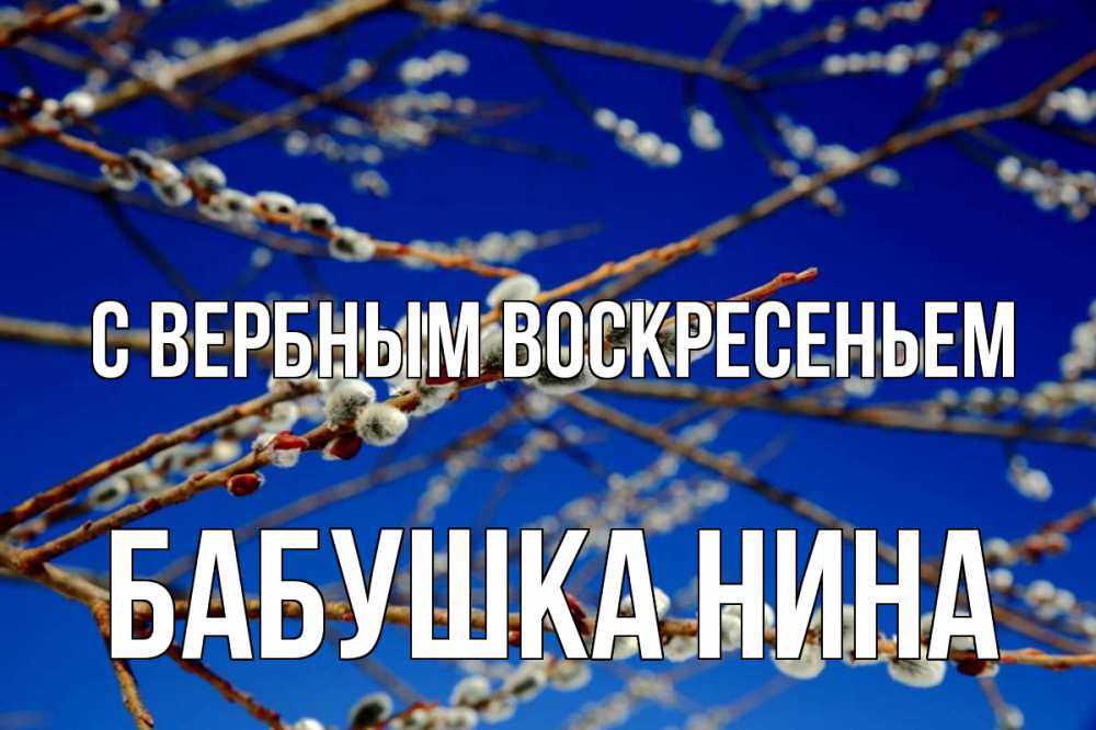 Открытка на каждый день с именем, Бабушка-Нина С вербным воскресеньем верба Прикольная открытка с пожеланием онлайн скачать бесплатно 