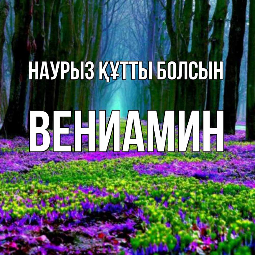 Открытка на каждый день с именем, Вениамин Наурыз құтты болсын фиолетовые цветы в лесу 1 Прикольная открытка с пожеланием онлайн скачать бесплатно 
