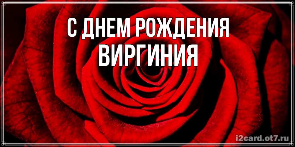 Открытка на каждый день с именем, Виргиния С днем рождения алая роза Прикольная открытка с пожеланием онлайн скачать бесплатно 