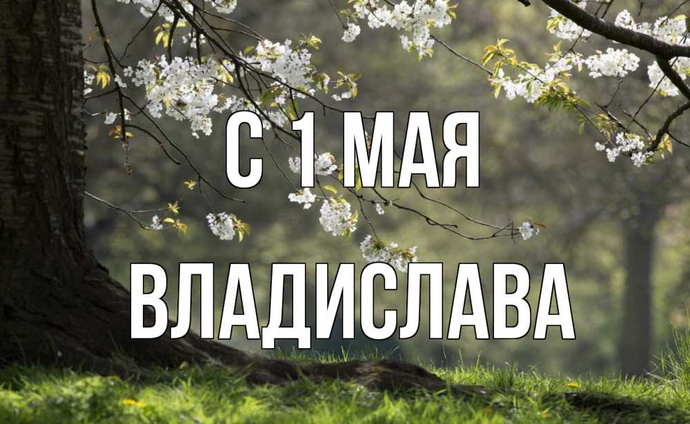 Открытка на каждый день с именем, Владислава С 1 мая С 1 мая Прикольная открытка с пожеланием онлайн скачать бесплатно 