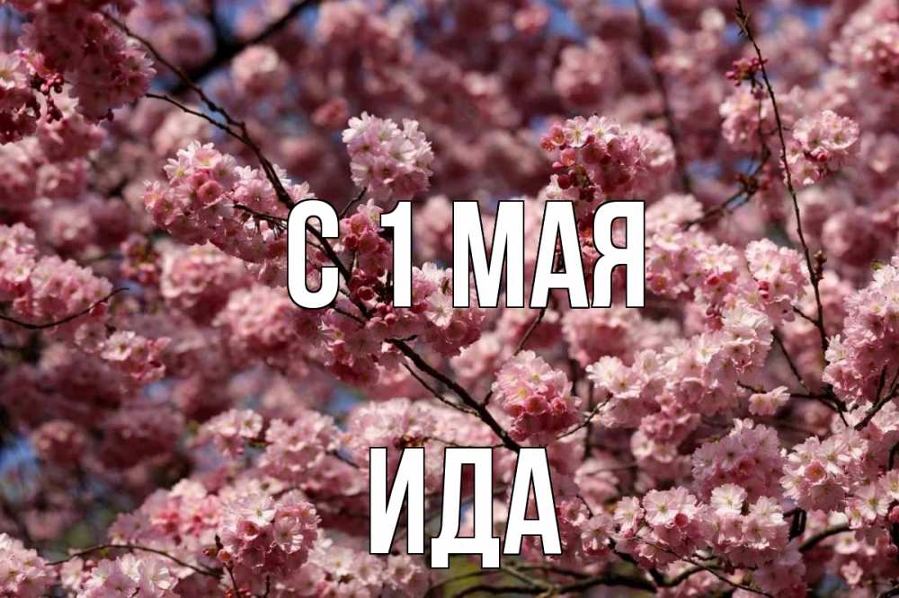 Открытка на каждый день с именем, Ида С 1 мая С 1 мая Прикольная открытка с пожеланием онлайн скачать бесплатно 