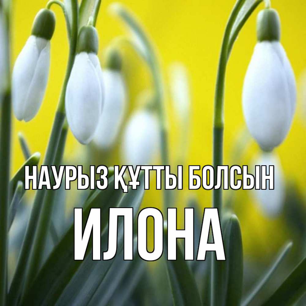 Открытка на каждый день с именем, Илона Наурыз құтты болсын весенние цветы Прикольная открытка с пожеланием онлайн скачать бесплатно 