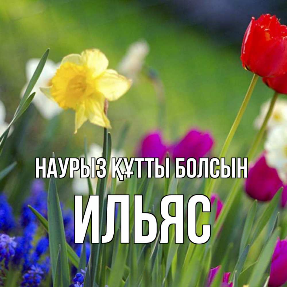 Открытка на каждый день с именем, Ильяс Наурыз құтты болсын наурыз  3 открытки Прикольная открытка с пожеланием онлайн скачать бесплатно 