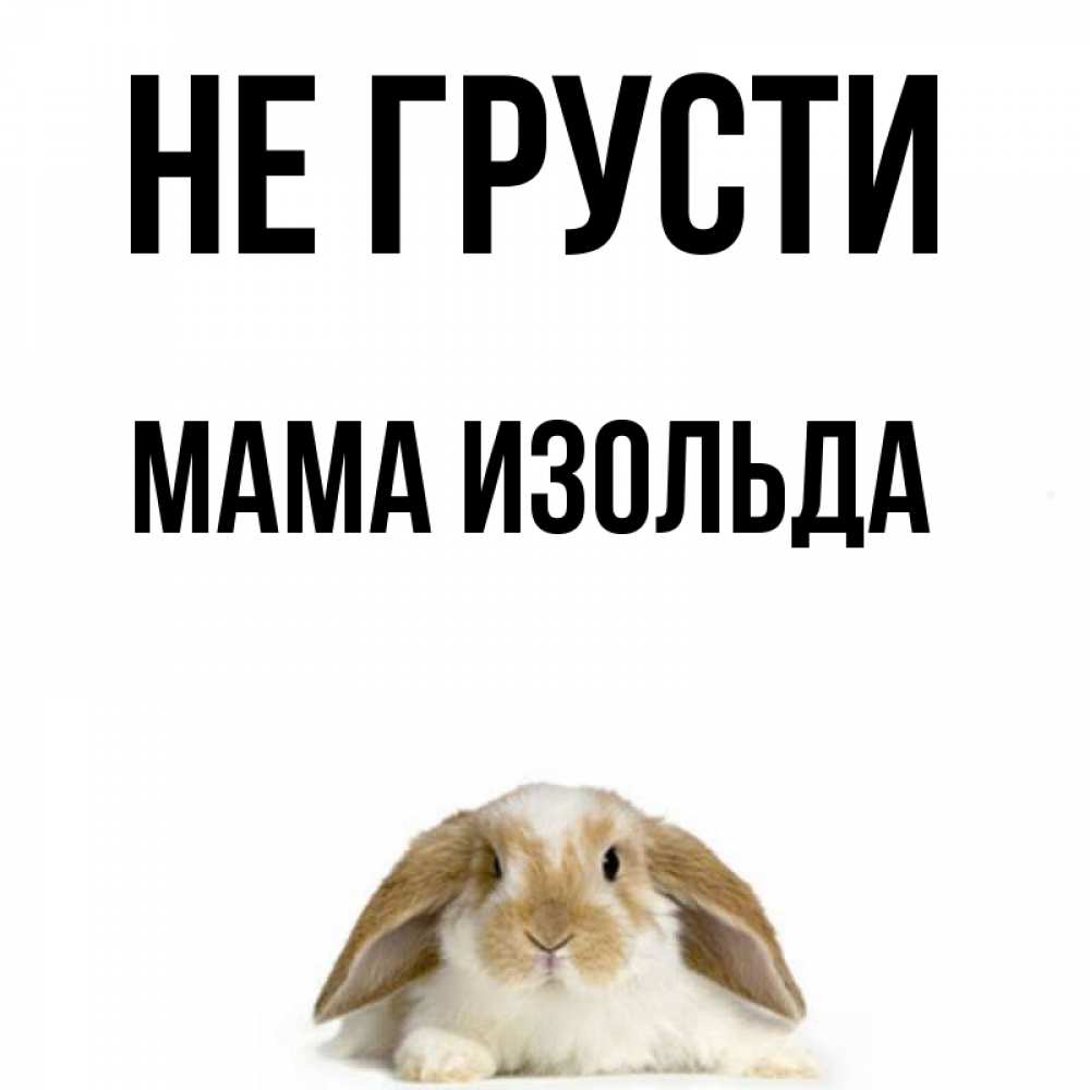 Открытка на каждый день с именем, Мама-Изольда Не грусти коричнево белый заяц с большими ушками Прикольная открытка с пожеланием онлайн скачать бесплатно 