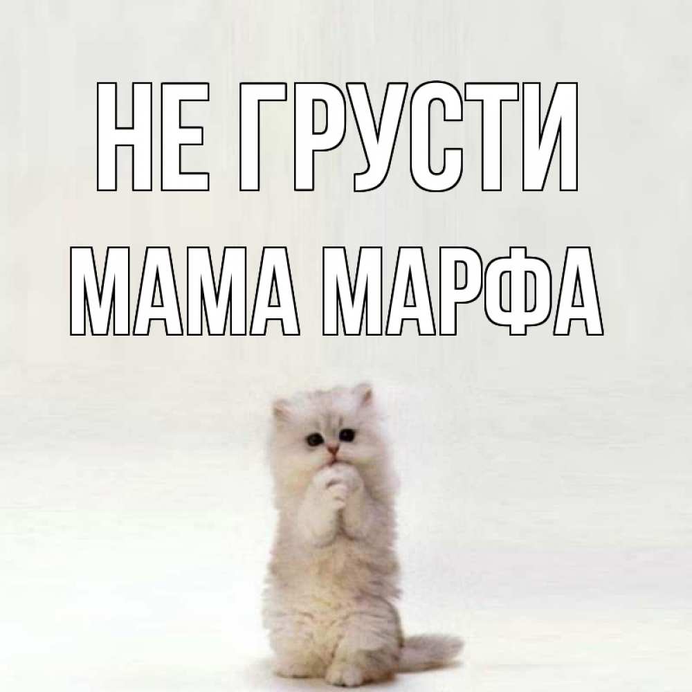 Открытка на каждый день с именем, Мама-Марфа Не грусти грустный кот Прикольная открытка с пожеланием онлайн скачать бесплатно 