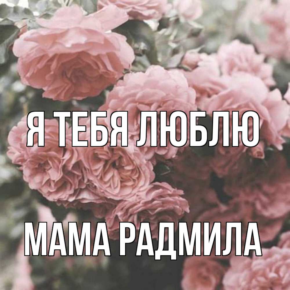 Открытка на каждый день с именем, Мама-Радмила Я тебя люблю розы 3 Прикольная открытка с пожеланием онлайн скачать бесплатно 
