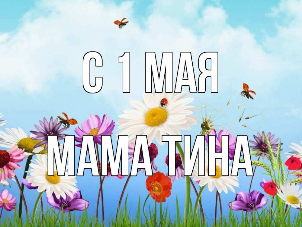 Открытка на каждый день с именем, Мама-Тина С 1 мая С 1 мая Прикольная открытка с пожеланием онлайн скачать бесплатно 