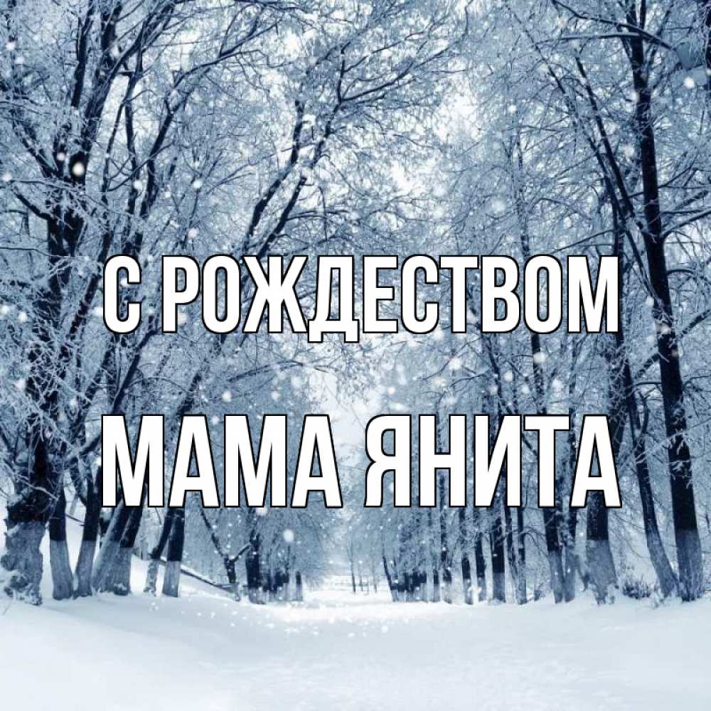 Открытка на каждый день с именем, Мама-Янита С рождеством снег, лес, парк Прикольная открытка с пожеланием онлайн скачать бесплатно 