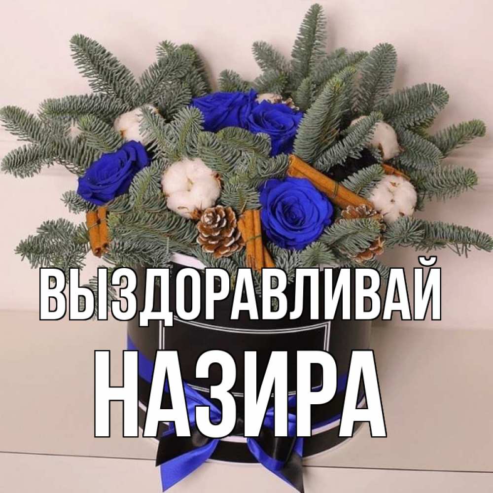 Открытка на каждый день с именем, Назира Выздоравливай короче кто то загрузил эти шишки Прикольная открытка с пожеланием онлайн скачать бесплатно 