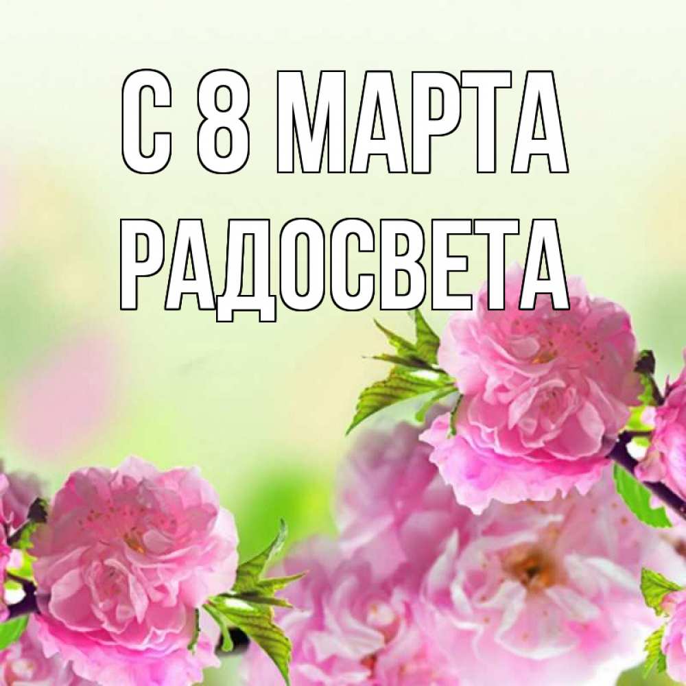 Открытка на каждый день с именем, Радосвета С 8 МАРТА цветы Прикольная открытка с пожеланием онлайн скачать бесплатно 