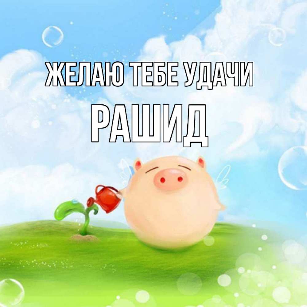 Открытка на каждый день с именем, Рашид Желаю тебе удачи поросенок поливает цветок. летнее настроение Прикольная открытка с пожеланием онлайн скачать бесплатно 