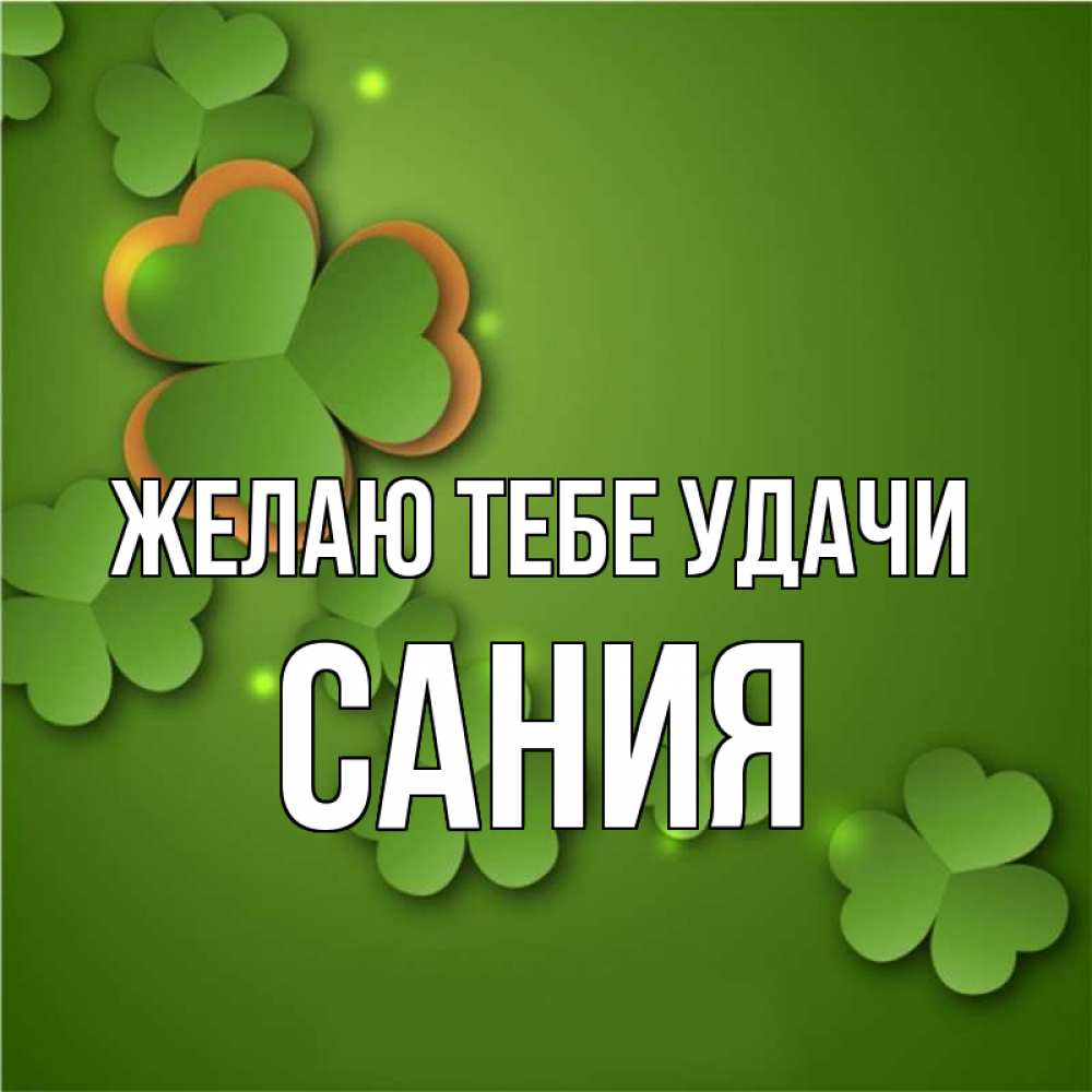 Открытка на каждый день с именем, Сания Желаю тебе удачи много трехлистных листочков клевера Прикольная открытка с пожеланием онлайн скачать бесплатно 