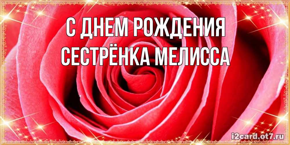 Открытка на каждый день с именем, Сестрёнка-Мелисса С днем рождения розовая роза очень крупный бутон Прикольная открытка с пожеланием онлайн скачать бесплатно 