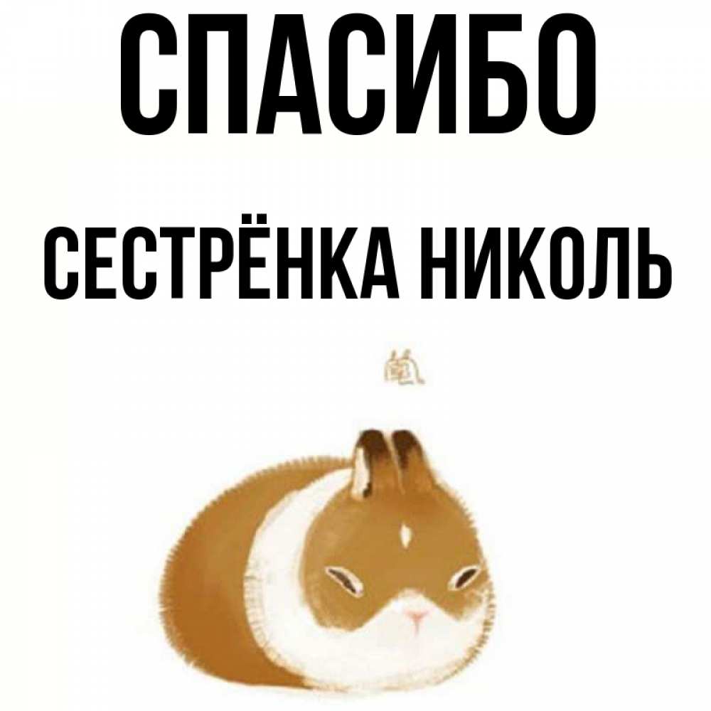 Открытка на каждый день с именем, Сестрёнка-Николь Спасибо коричнево белый домашний питомец Прикольная открытка с пожеланием онлайн скачать бесплатно 
