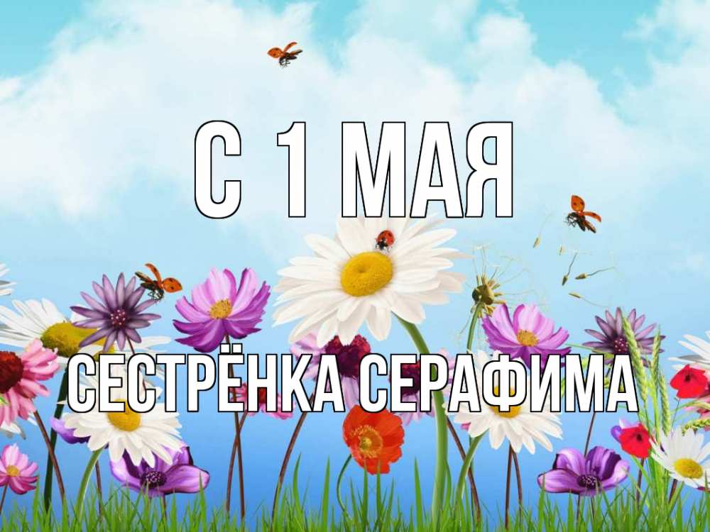 Открытка на каждый день с именем, Сестрёнка-Серафима С 1 мая С 1 мая Прикольная открытка с пожеланием онлайн скачать бесплатно 