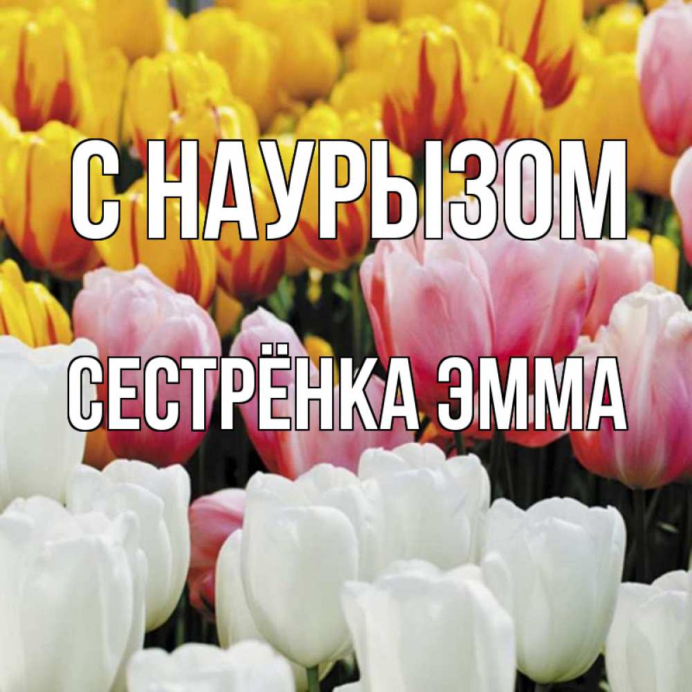 Открытка на каждый день с именем, Сестрёнка-Эмма С наурызом разноцветные цветы Прикольная открытка с пожеланием онлайн скачать бесплатно 