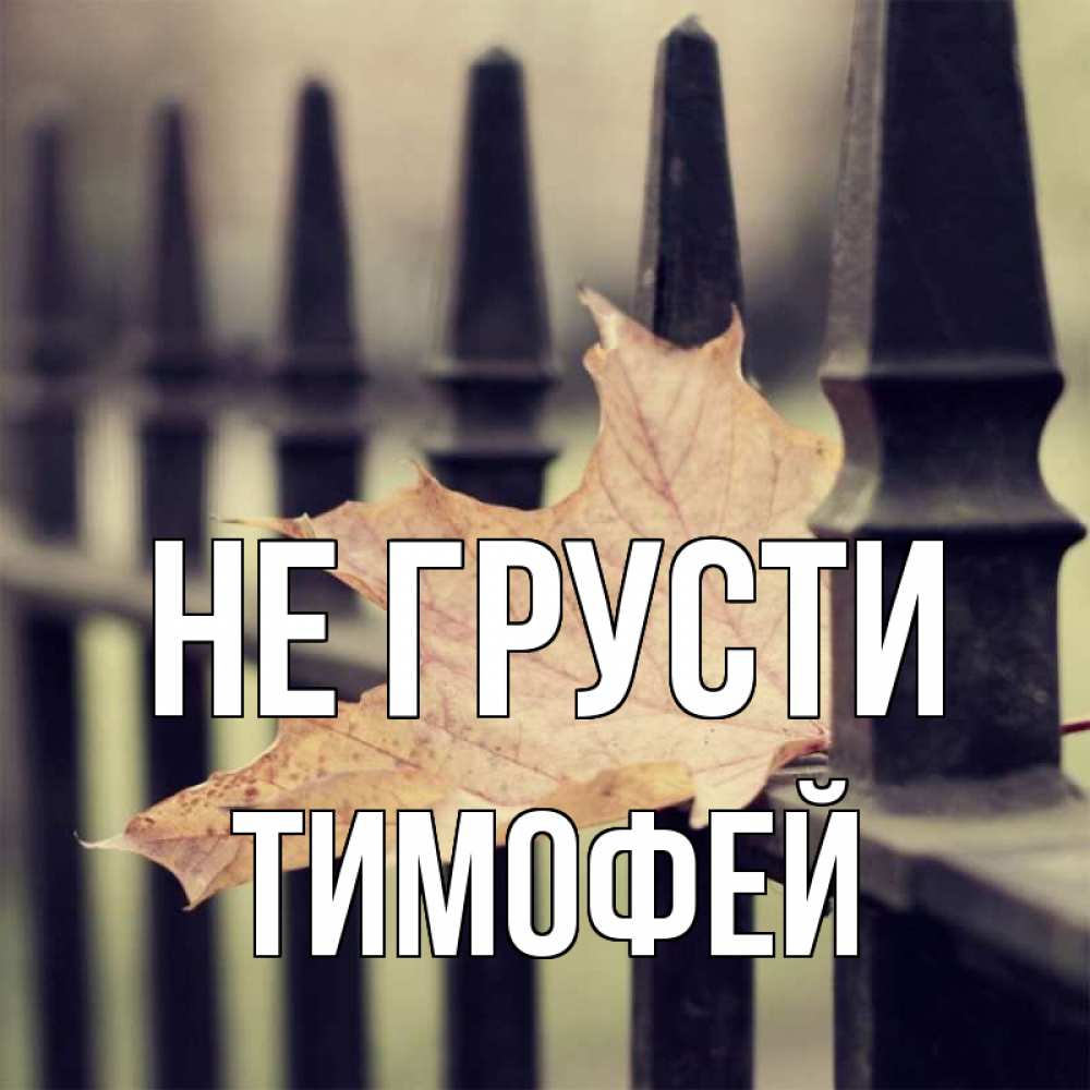 Открытка на каждый день с именем, Тимофей Не грусти лист клена Прикольная открытка с пожеланием онлайн скачать бесплатно 