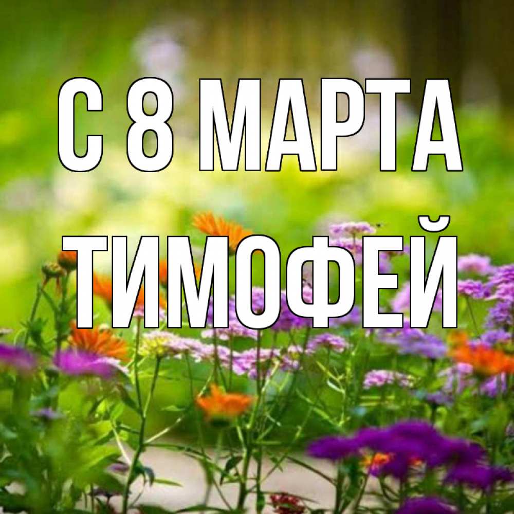 Открытка на каждый день с именем, Тимофей С 8 марта цветы Прикольная открытка с пожеланием онлайн скачать бесплатно 