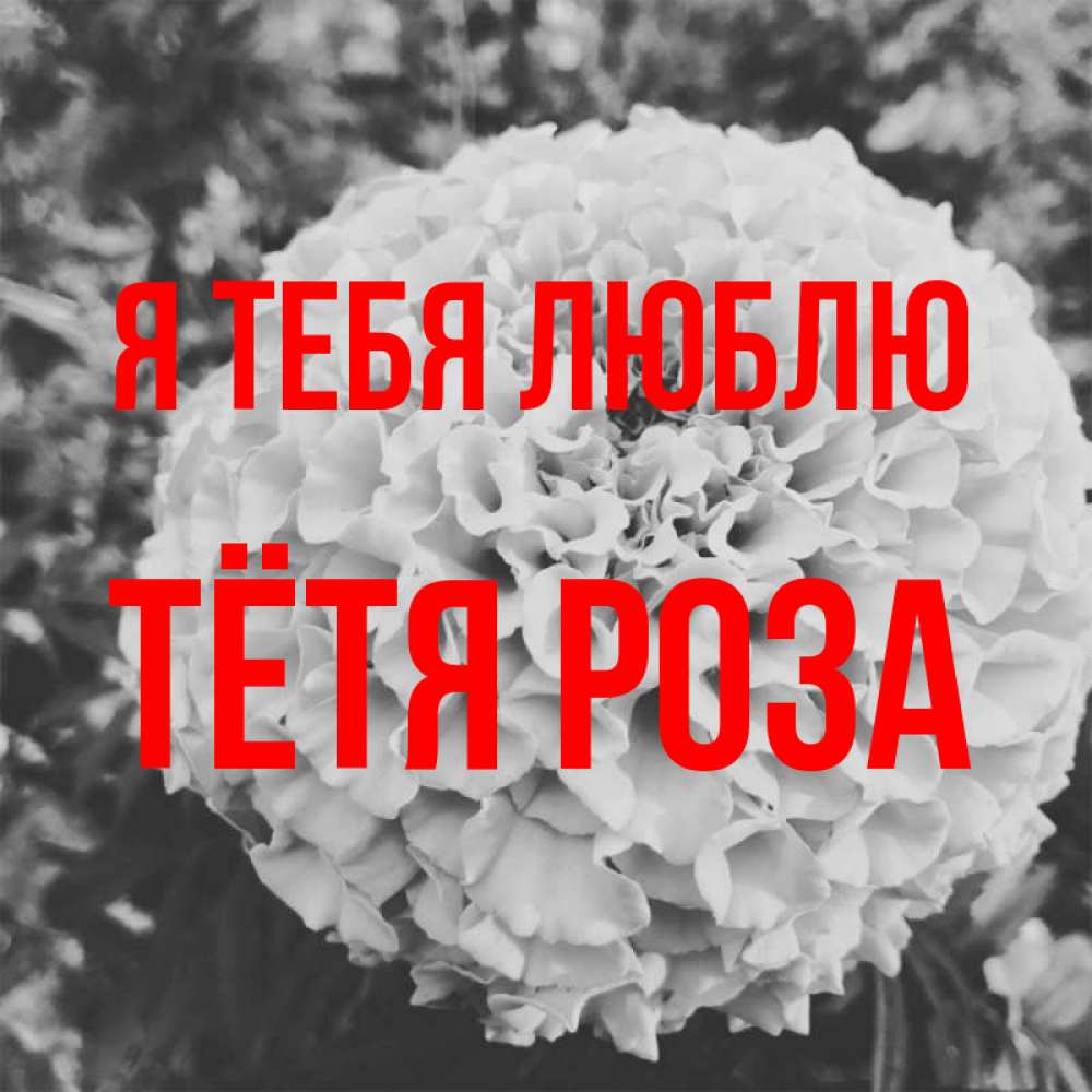 Открытка на каждый день с именем, Тётя-Роза Я тебя люблю подпись Прикольная открытка с пожеланием онлайн скачать бесплатно 