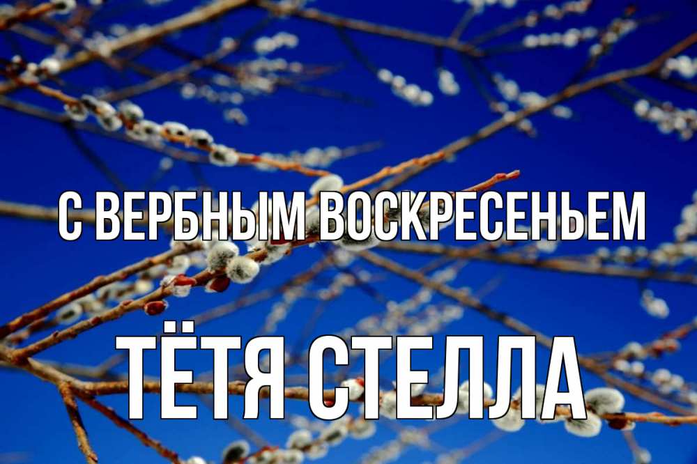 Открытка на каждый день с именем, Тётя-Стелла С вербным воскресеньем верба Прикольная открытка с пожеланием онлайн скачать бесплатно 