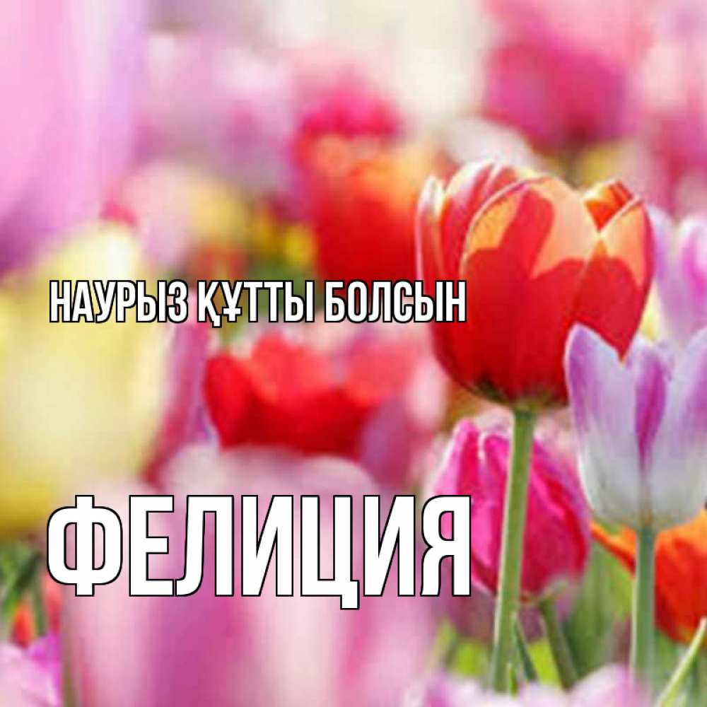 Открытка на каждый день с именем, Фелиция Наурыз құтты болсын на наурыз  2 Прикольная открытка с пожеланием онлайн скачать бесплатно 
