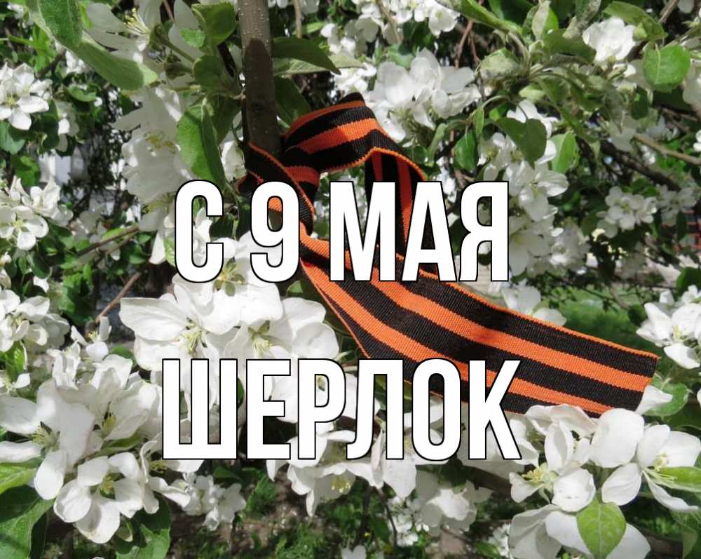 Открытка на каждый день с именем, Шерлок С 9 мая 9 мая Прикольная открытка с пожеланием онлайн скачать бесплатно 