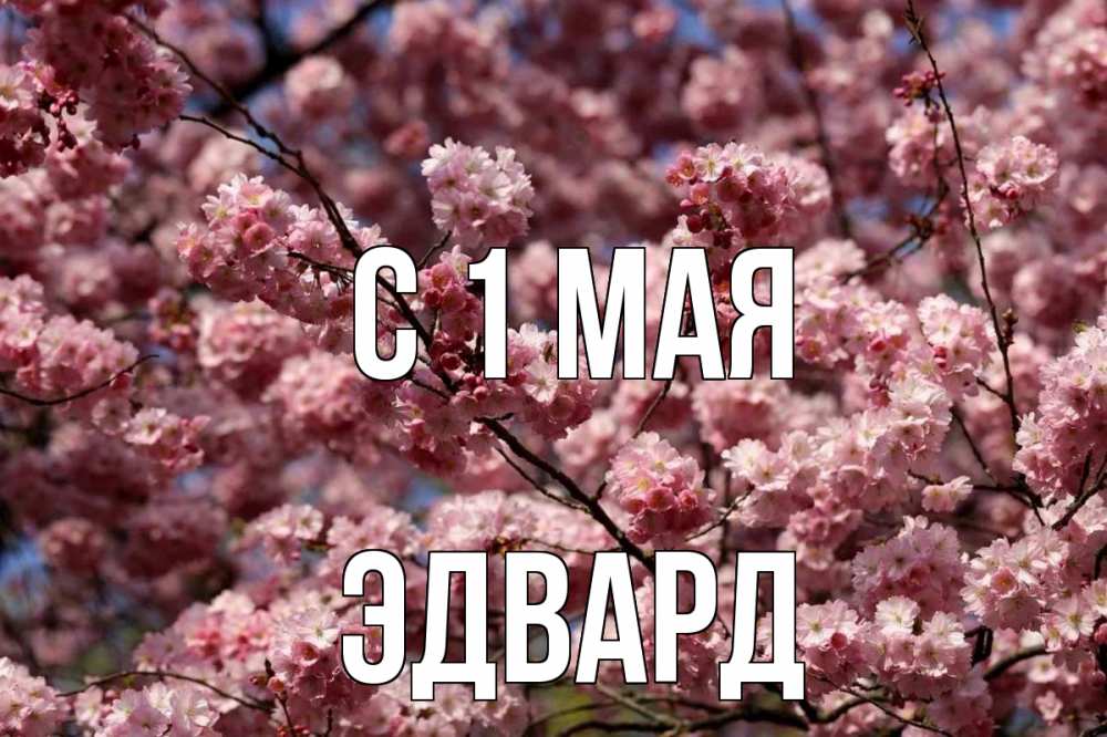 Открытка на каждый день с именем, Эдвард С 1 мая С 1 мая Прикольная открытка с пожеланием онлайн скачать бесплатно 