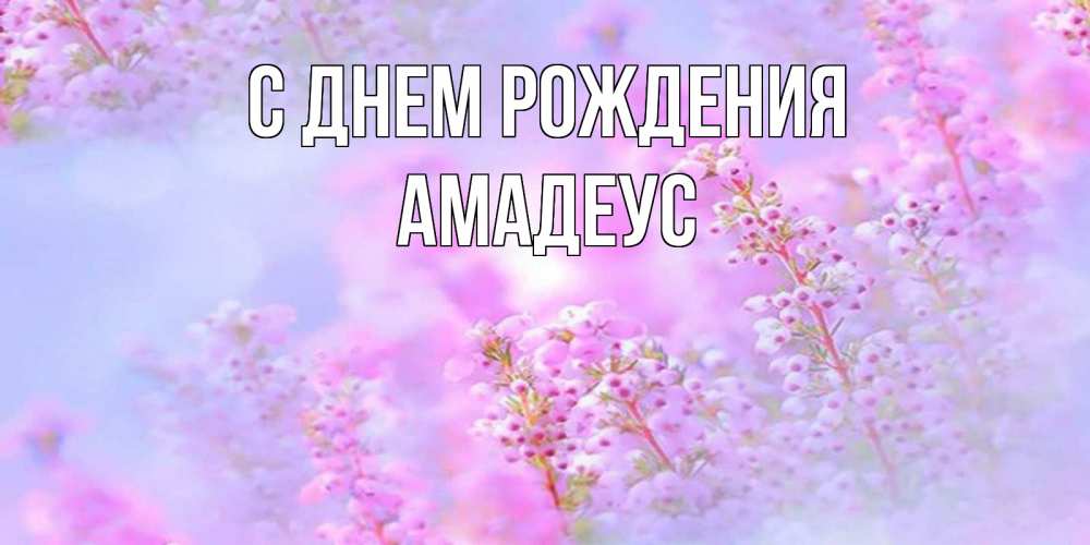 Открытка на каждый день с именем, Амадеус С днем рождения красивая открытка с мелкими цветами Прикольная открытка с пожеланием онлайн скачать бесплатно 