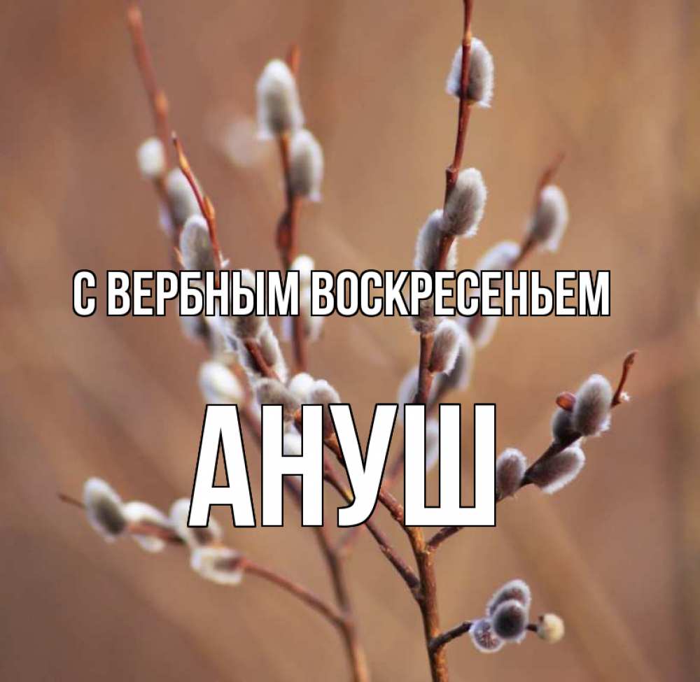 Открытка на каждый день с именем, Ануш С вербным воскресеньем верба Прикольная открытка с пожеланием онлайн скачать бесплатно 