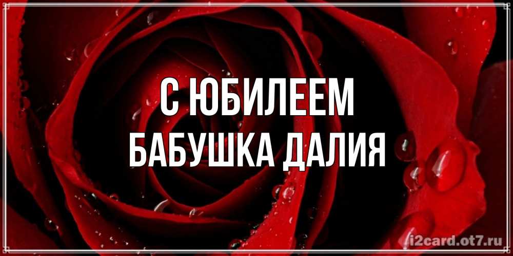 Открытка на каждый день с именем, Бабушка-Далия С юбилеем крупная бордовая роза Прикольная открытка с пожеланием онлайн скачать бесплатно 