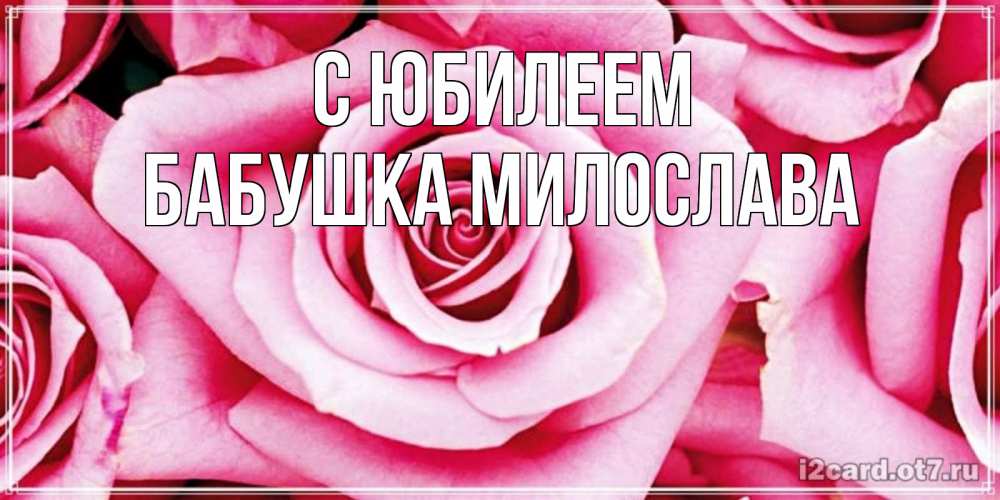Открытка на каждый день с именем, Бабушка-Милослава С юбилеем открытка с розовой розой на день рождения Прикольная открытка с пожеланием онлайн скачать бесплатно 