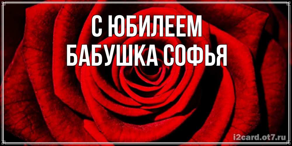 Открытка на каждый день с именем, Бабушка-Софья С юбилеем алая роза Прикольная открытка с пожеланием онлайн скачать бесплатно 