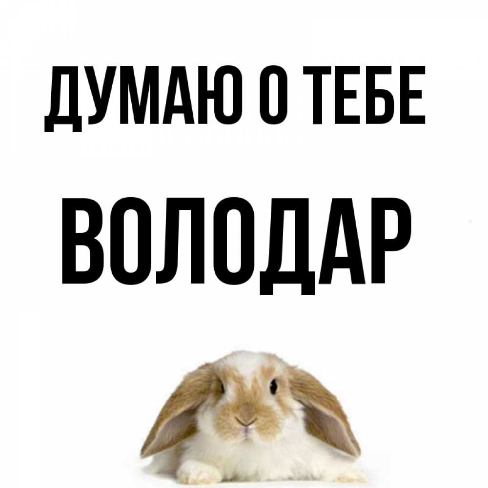 Открытка на каждый день с именем, Володар Думаю о тебе подписать своими руками онлайн Прикольная открытка с пожеланием онлайн скачать бесплатно 