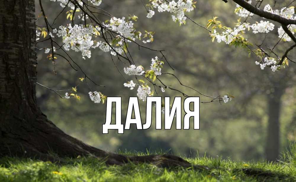 Открытка на каждый день с именем, Далия Главная С 1 мая Прикольная открытка с пожеланием онлайн скачать бесплатно 