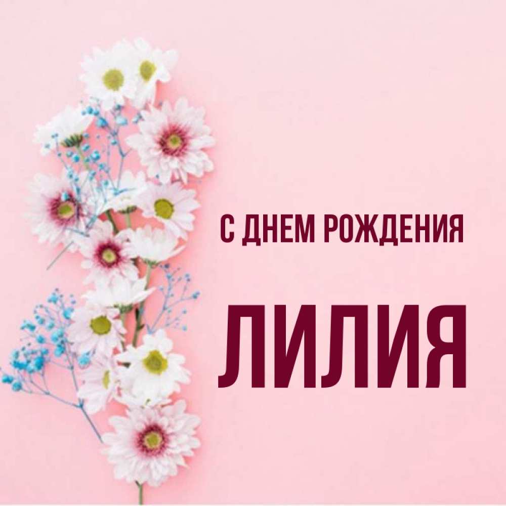 Открытка на каждый день с именем, Лилия С днем рождения Родная моя с днем рождения тебя картинка с цветами белыми и голубыми Прикольная открытка с пожеланием онлайн скачать бесплатно 