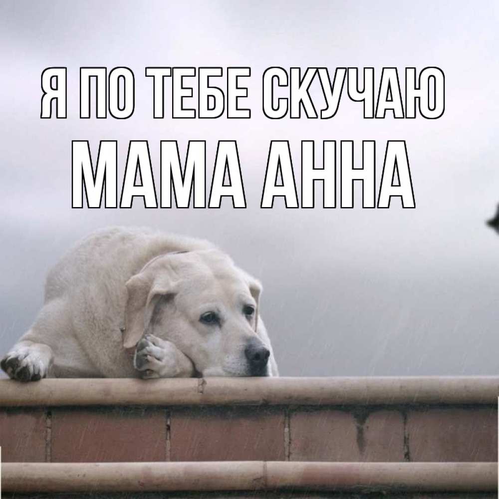 Открытка на каждый день с именем, Мама-Анна Я по тебе скучаю ждет Прикольная открытка с пожеланием онлайн скачать бесплатно 