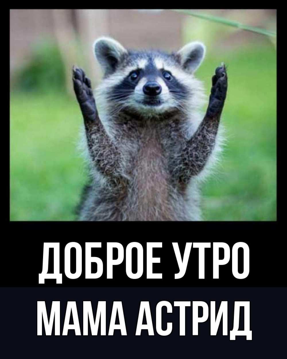 Открытка на каждый день с именем, Мама-Астрид Доброе утро хорошее настроение утречком Прикольная открытка с пожеланием онлайн скачать бесплатно 