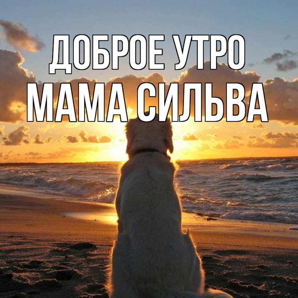 Открытка на каждый день с именем, Мама-Сильва Доброе утро восход солнца Прикольная открытка с пожеланием онлайн скачать бесплатно 