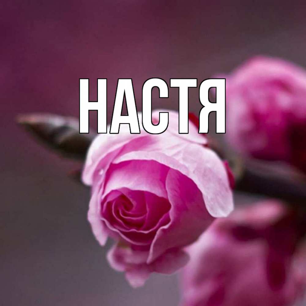 Открытка на каждый день с именем, Настя Главная весна Прикольная открытка с пожеланием онлайн скачать бесплатно 