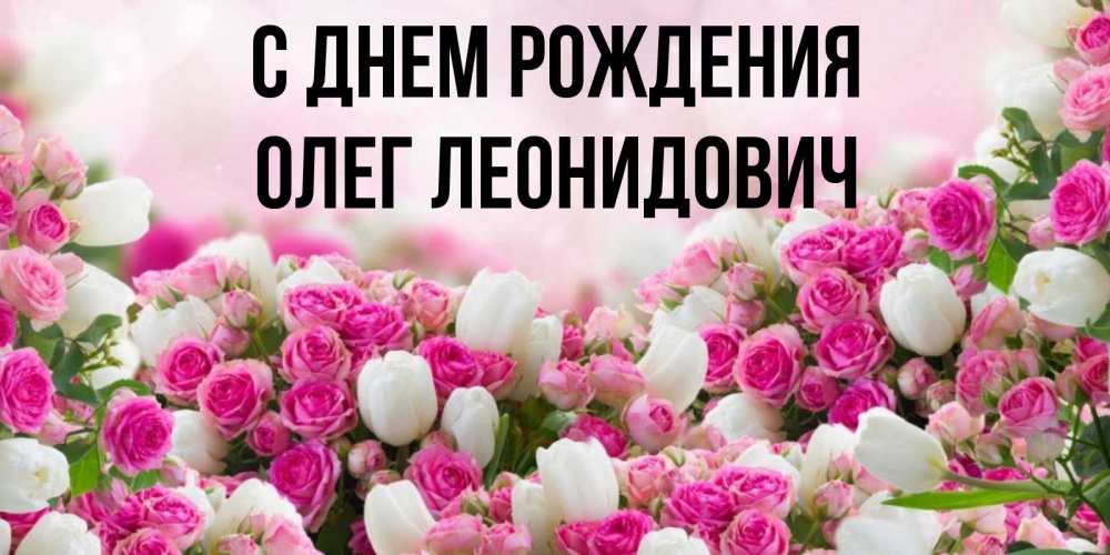 Открытка на каждый день с именем, Олег-Леонидович С днем рождения открытка с разными розами Прикольная открытка с пожеланием онлайн скачать бесплатно 