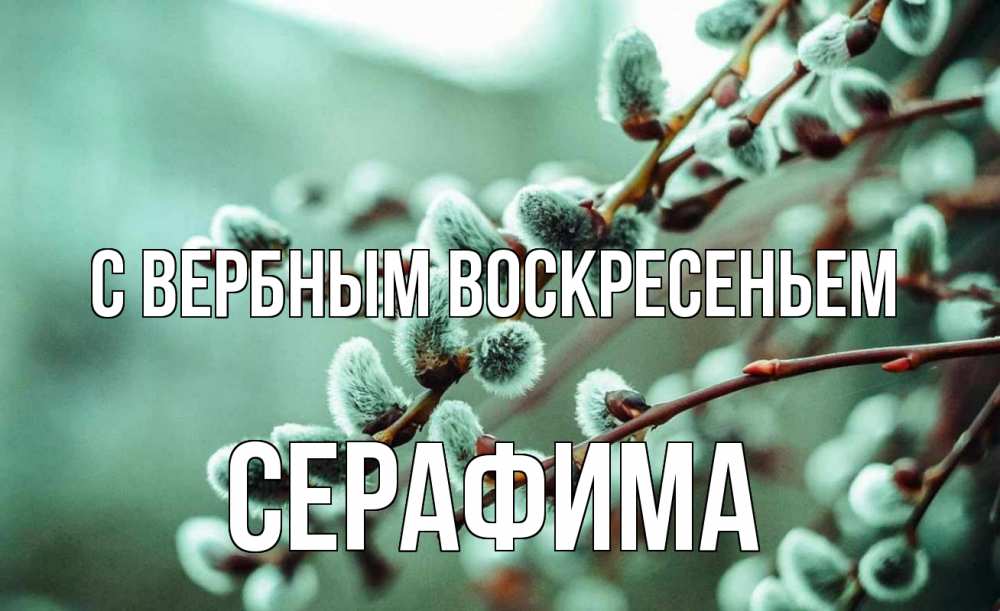 Открытка на каждый день с именем, Серафима С вербным воскресеньем верба Прикольная открытка с пожеланием онлайн скачать бесплатно 