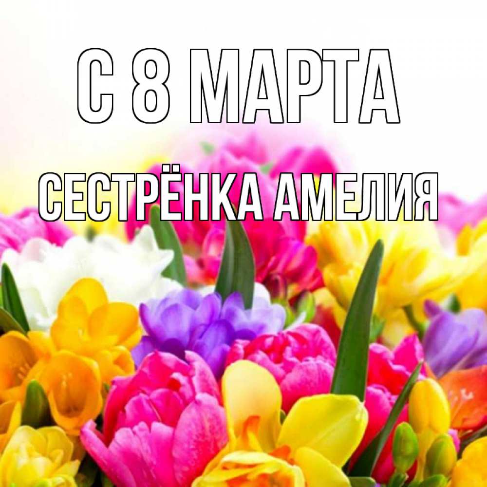 Открытка на каждый день с именем, Сестрёнка-Амелия С 8 МАРТА тюльпаны Прикольная открытка с пожеланием онлайн скачать бесплатно 