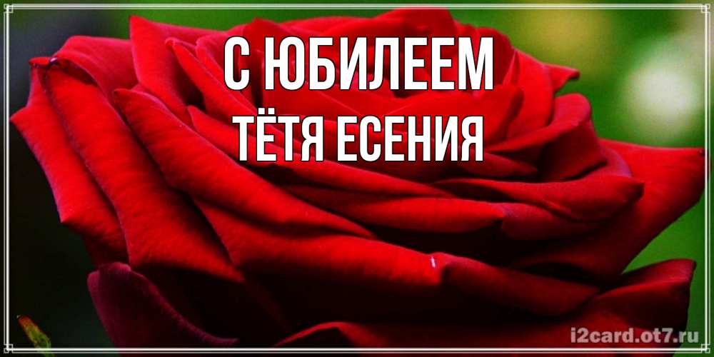 Открытка на каждый день с именем, Тётя-Есения С юбилеем розочка очень красивая Прикольная открытка с пожеланием онлайн скачать бесплатно 