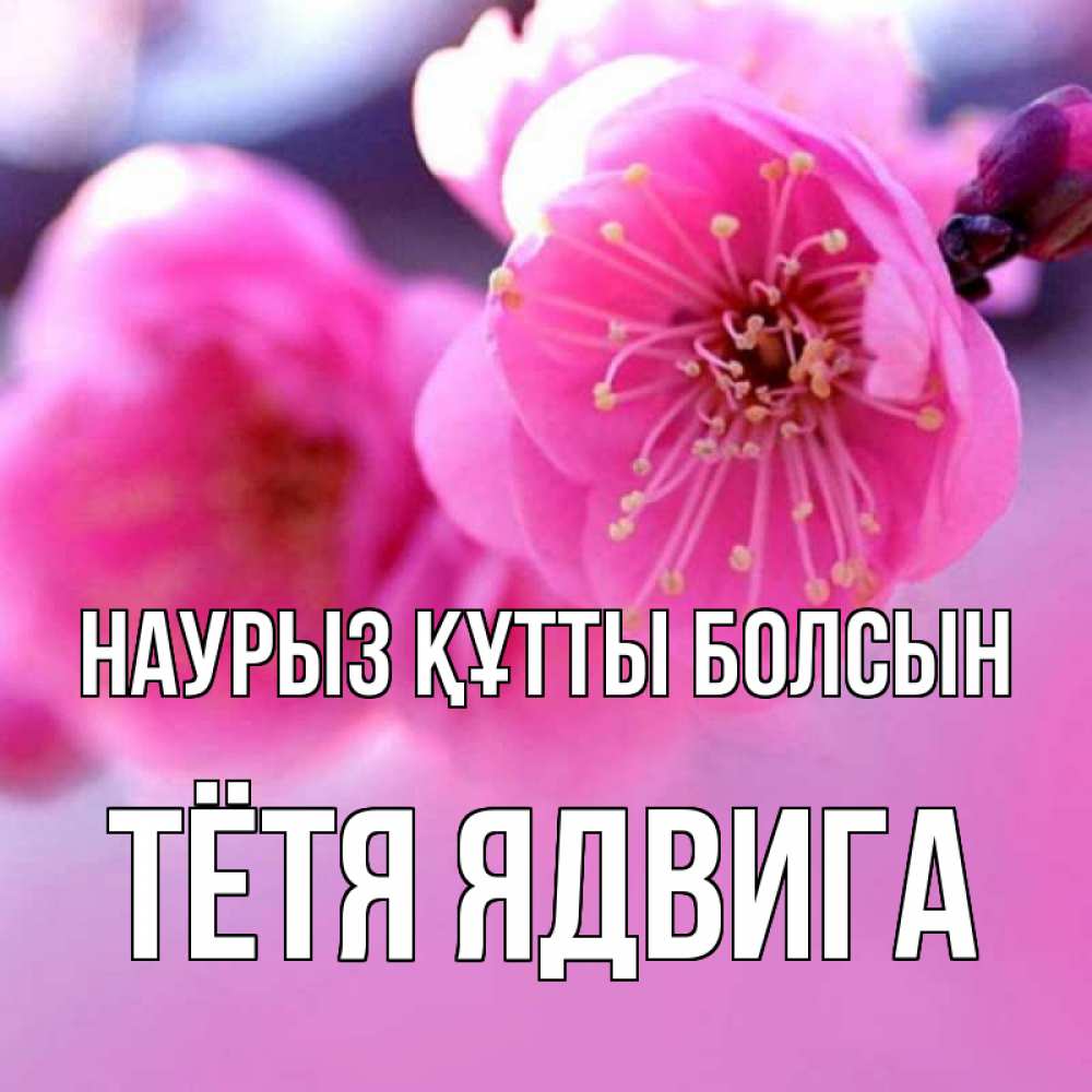 Открытка на каждый день с именем, Тётя-Ядвига Наурыз құтты болсын наурыз мейрам Прикольная открытка с пожеланием онлайн скачать бесплатно 