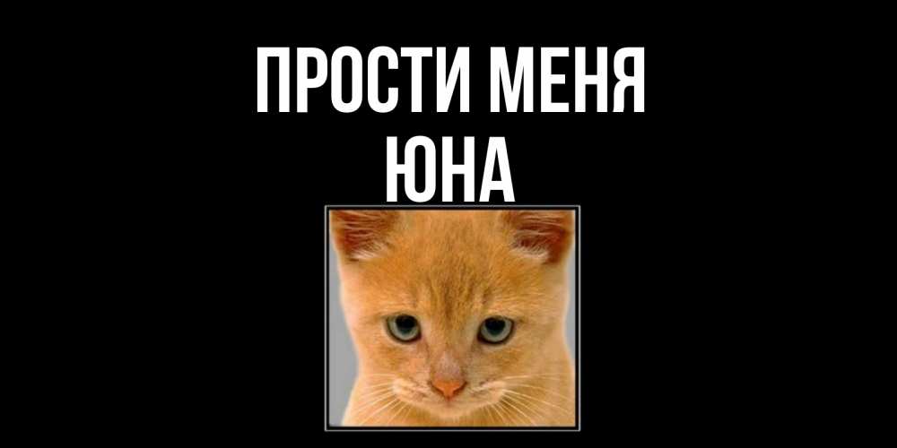 Открытка на каждый день с именем, Юна Прости меня рыжий грустный кот просит прощения Прикольная открытка с пожеланием онлайн скачать бесплатно 
